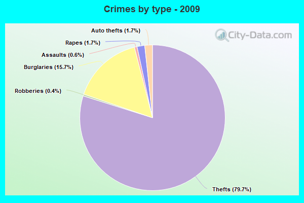 Crimes by type - 2009