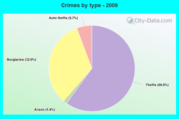 Crimes by type - 2009