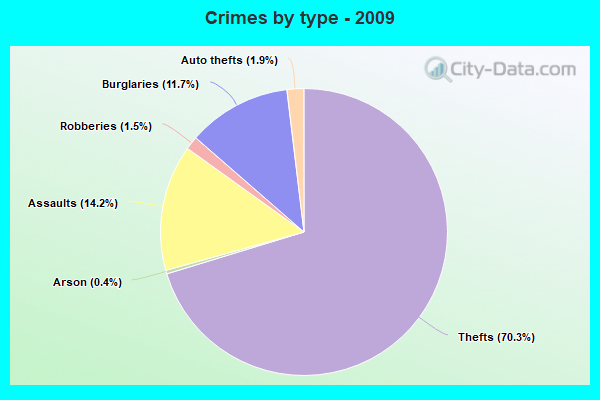 Crimes by type - 2009