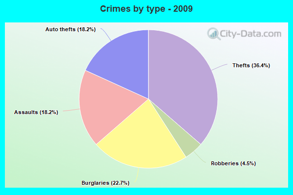 Crimes by type - 2009