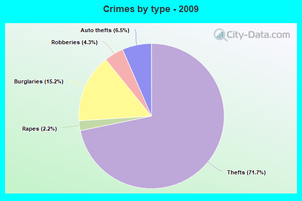 Crimes by type - 2009