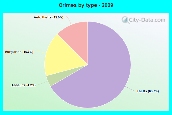 Crimes by type - 2009