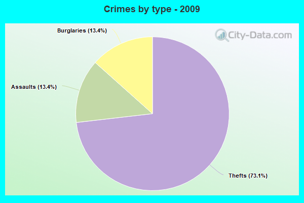 Crimes by type - 2009