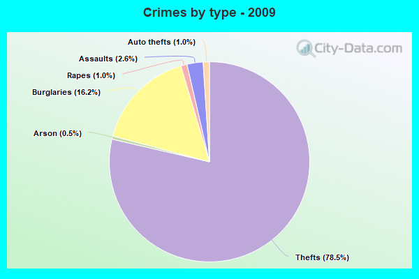 Crimes by type - 2009