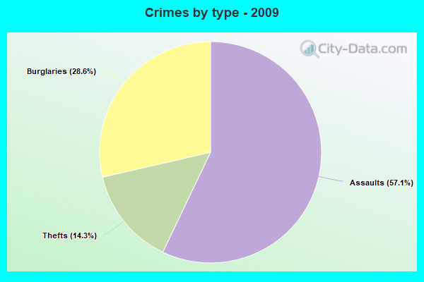 Crimes by type - 2009