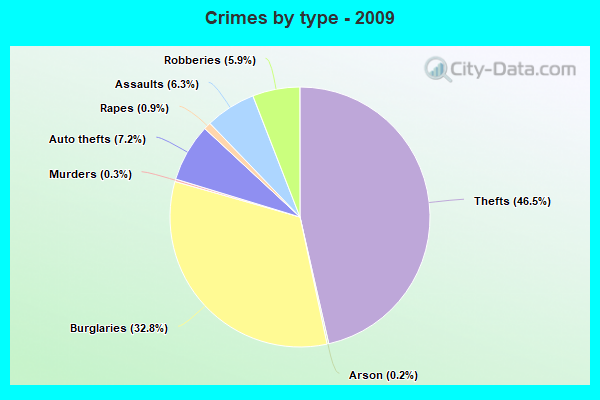 Crimes by type - 2009