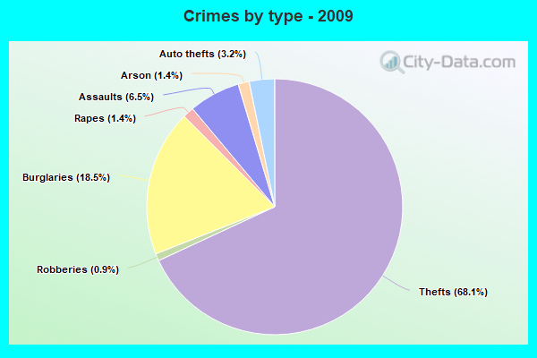 Crimes by type - 2009