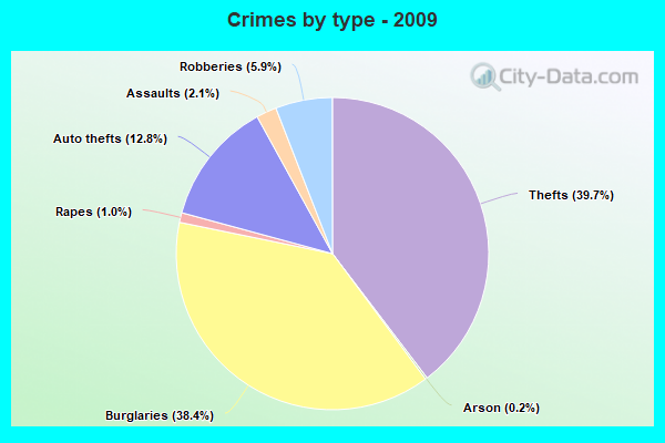 Crimes by type - 2009