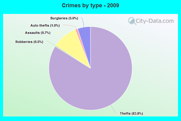 Crimes by type - 2009