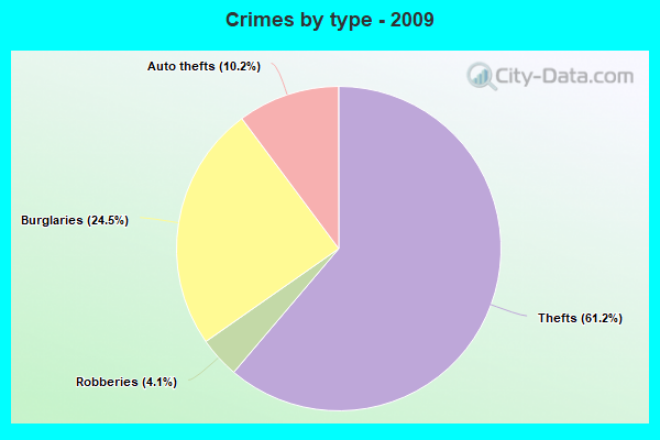 Crimes by type - 2009