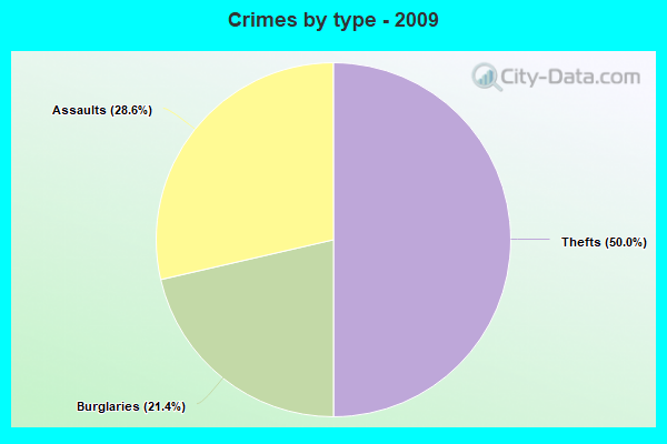 Crimes by type - 2009