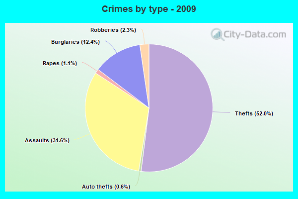 Crimes by type - 2009