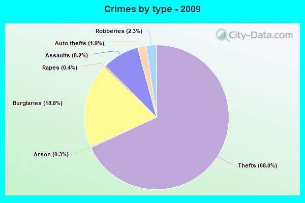 Crimes by type - 2009