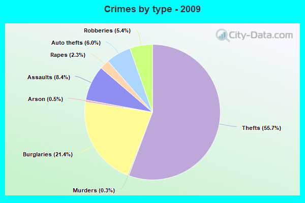 Crimes by type - 2009