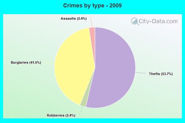 Crimes by type - 2009