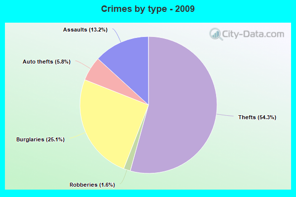 Crimes by type - 2009