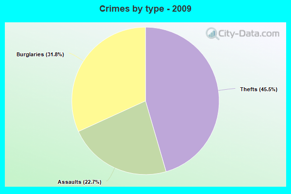 Crimes by type - 2009