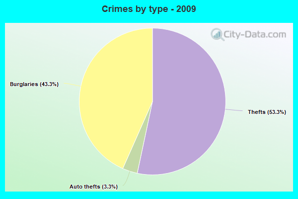 Crimes by type - 2009