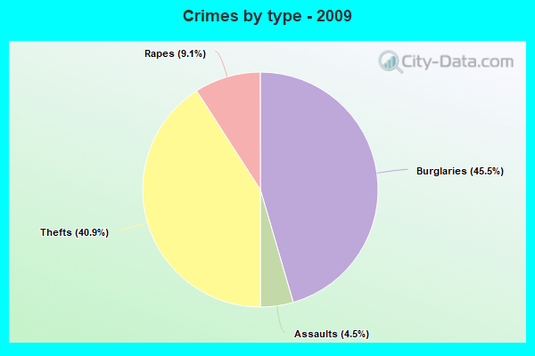 Crimes by type - 2009