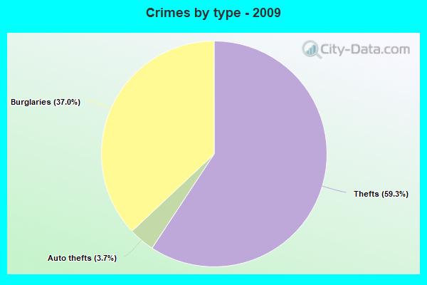 Crimes by type - 2009