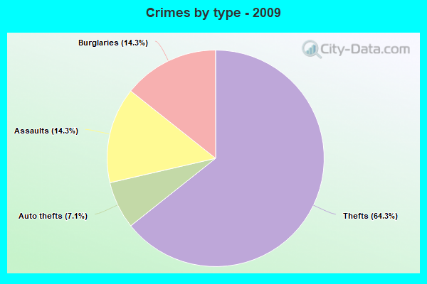 Crimes by type - 2009