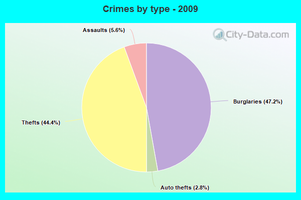 Crimes by type - 2009