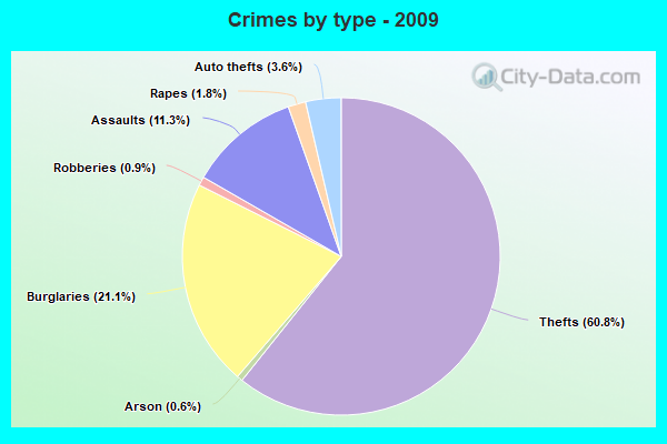 Crimes by type - 2009