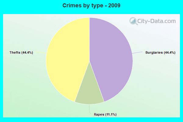 Crimes by type - 2009