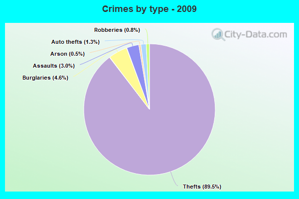 Crimes by type - 2009