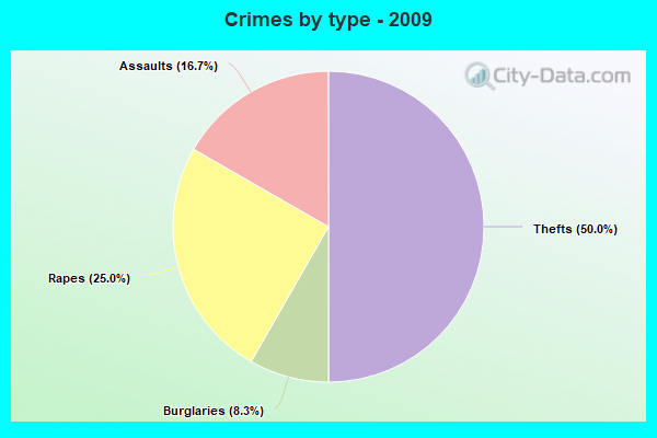 Crimes by type - 2009