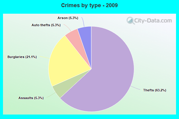 Crimes by type - 2009