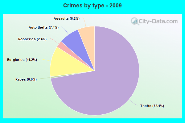 Crimes by type - 2009