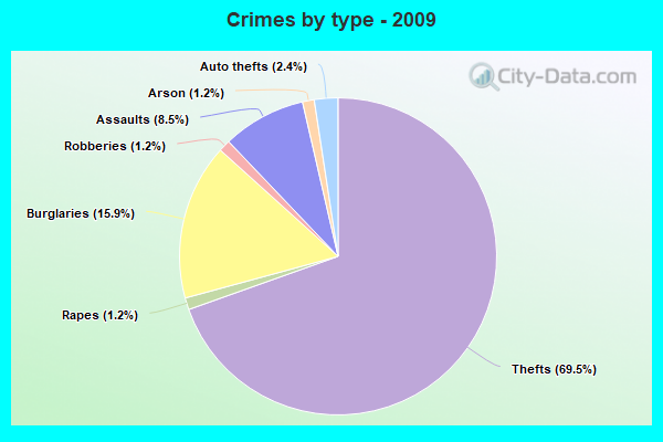 Crimes by type - 2009