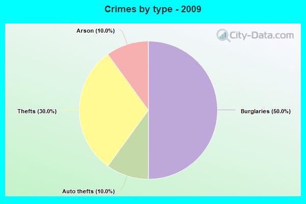 Crimes by type - 2009