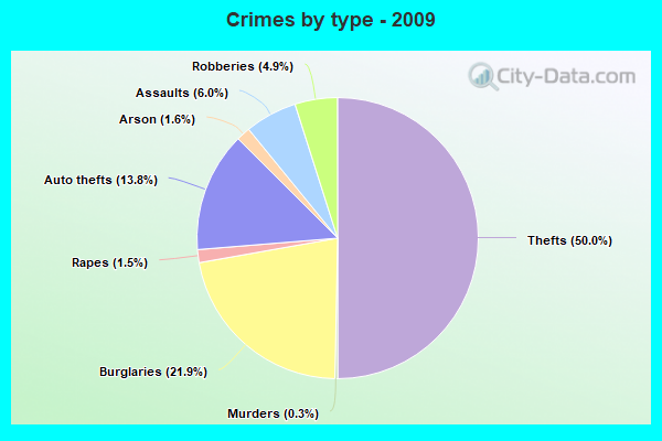 Crimes by type - 2009