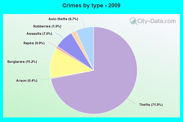 Crimes by type - 2009