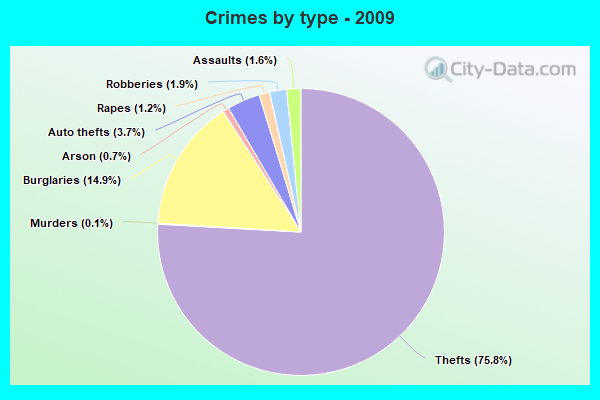 Crimes by type - 2009