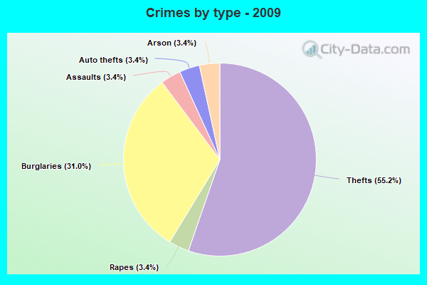 Crimes by type - 2009