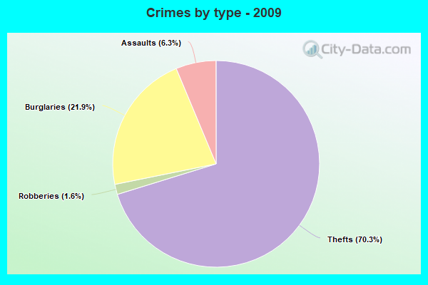 Crimes by type - 2009