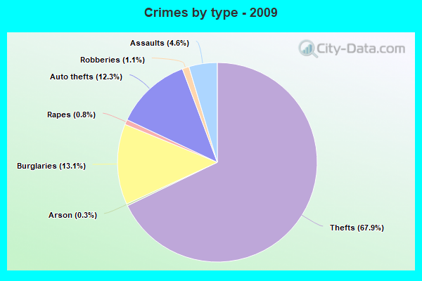 Crimes by type - 2009