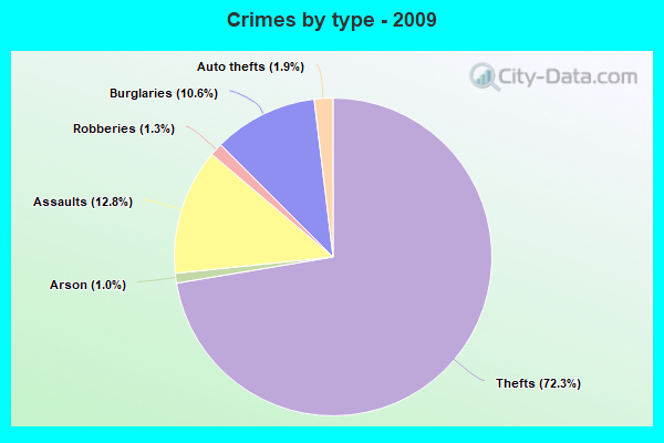 Crimes by type - 2009