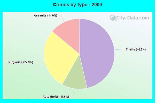 Crimes by type - 2009