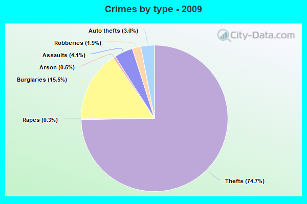 Crimes by type - 2009