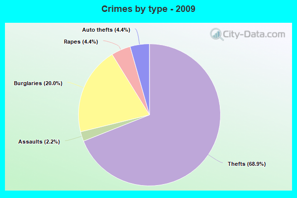 Crimes by type - 2009