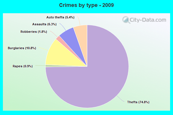 Crimes by type - 2009