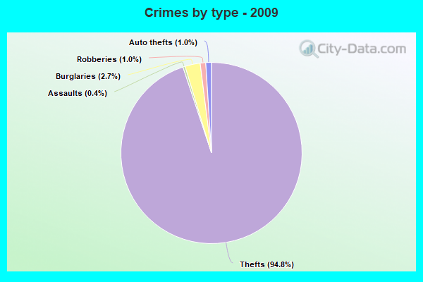 Crimes by type - 2009