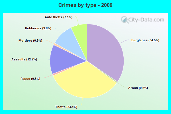 Crimes by type - 2009