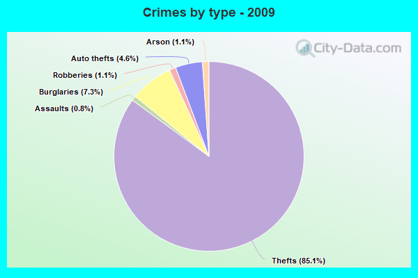 Crimes by type - 2009