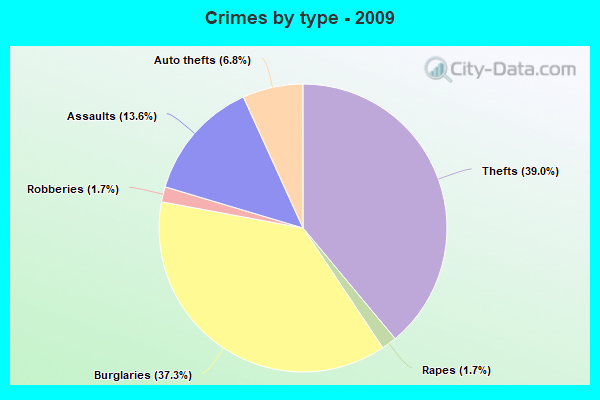 Crimes by type - 2009