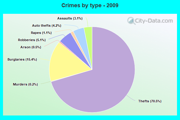 Crimes by type - 2009